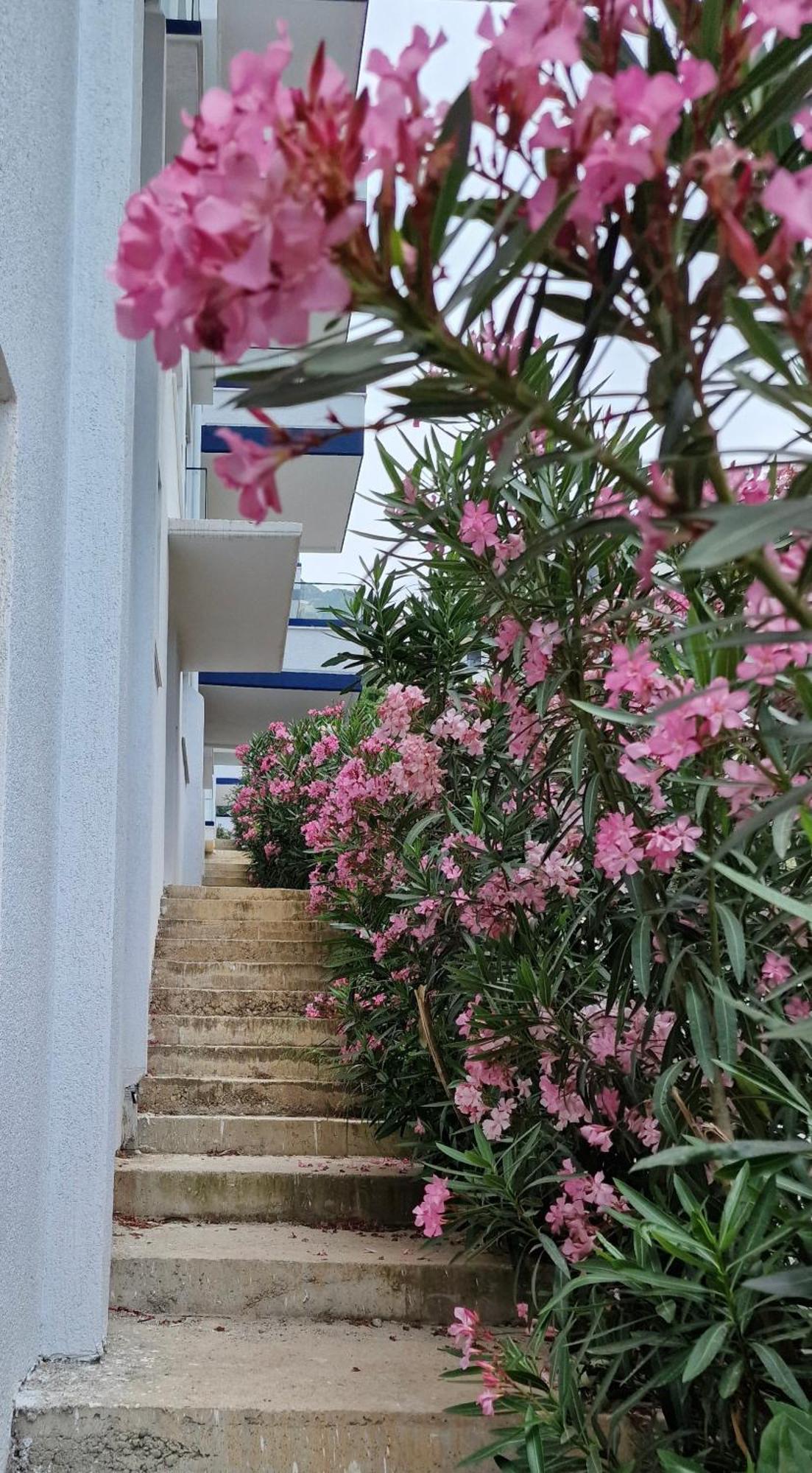 Appartement Elisos *